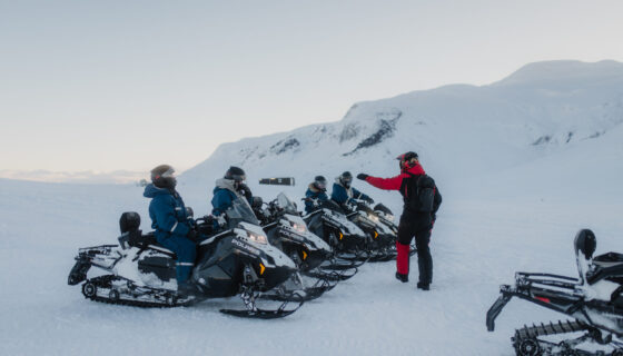 Snowmobiles and a guide